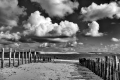 cap ferret