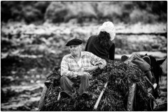 Pause sur la charette Pause sur la charette