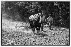 Travail de la terre Travail de la terre