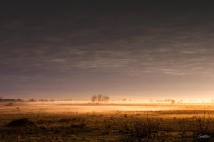 Eclat dans la brume Eclat dans la brume
