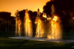 Jet d eau flamboyant Jet d eau flamboyant