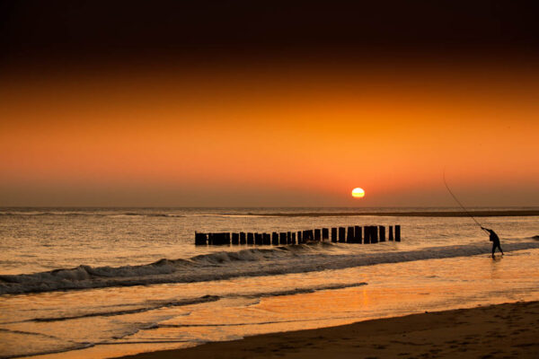 Surf casting